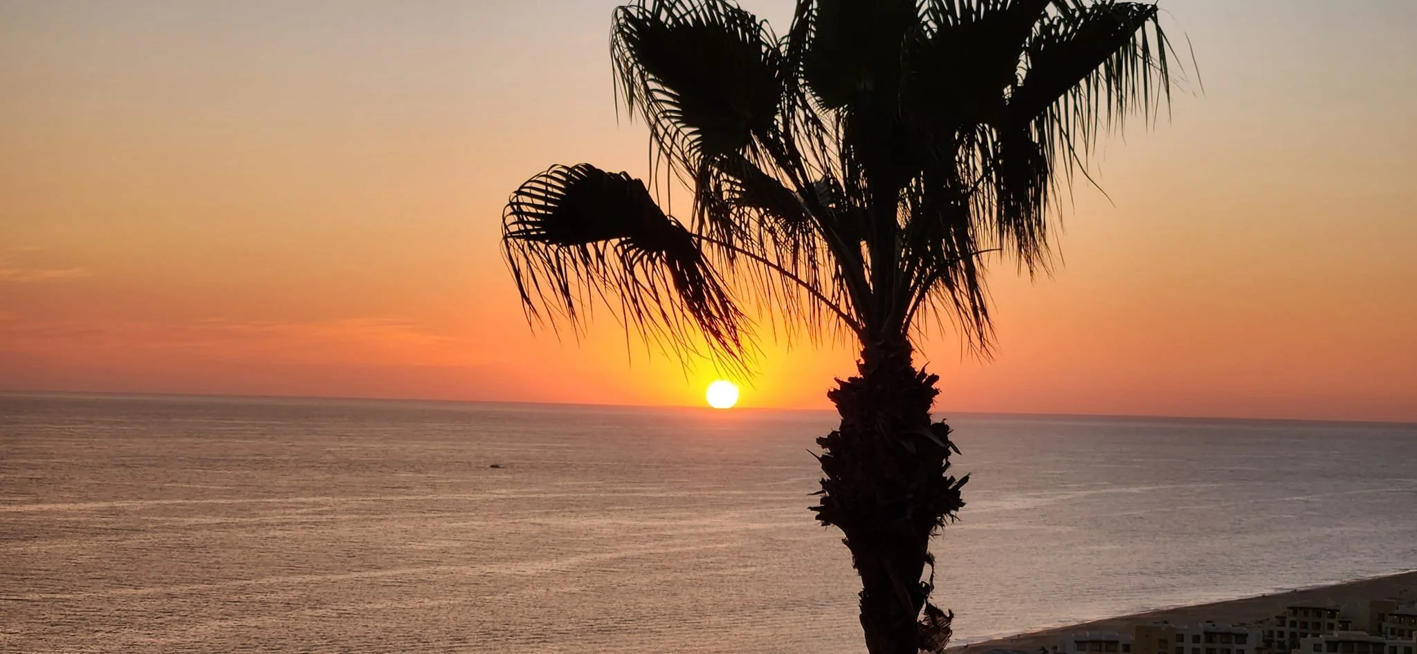 Cabo Sunset